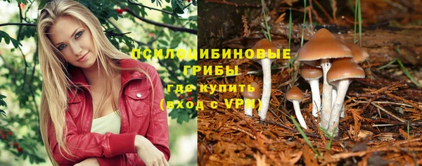 крисы Медвежьегорск