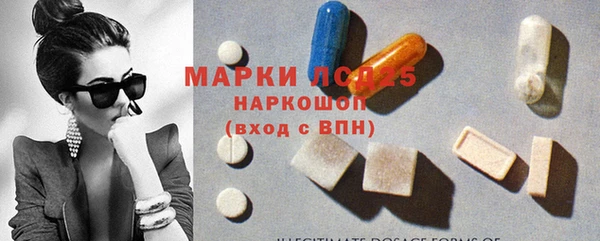 крисы Медвежьегорск