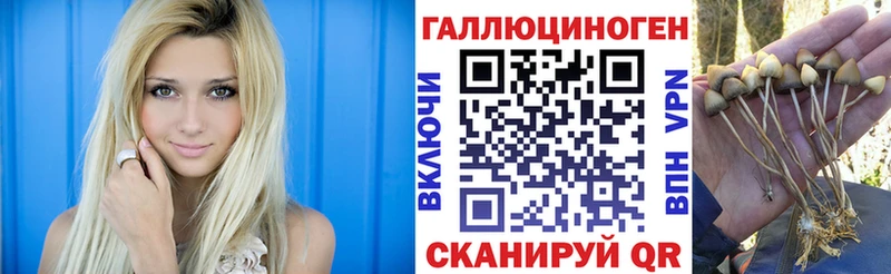 Псилоцибиновые грибы Psilocybine cubensis  Купить  Нижний Новгород 